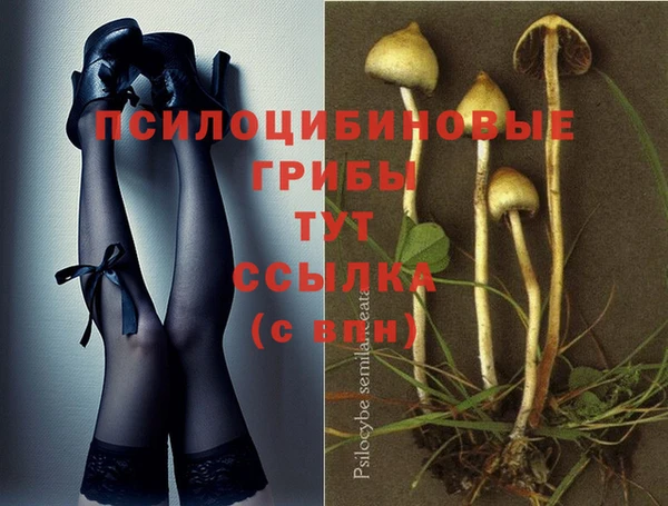 индика Краснослободск